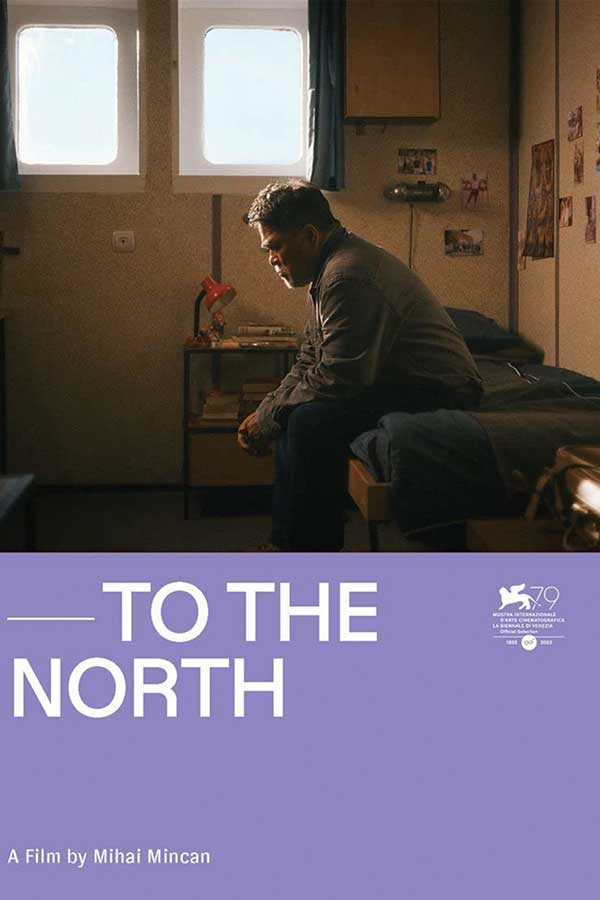 Poster of To The North